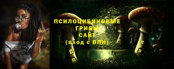 прущая мука Богородск