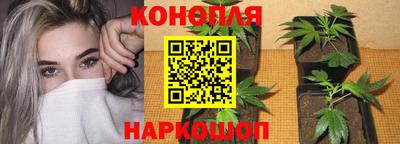 spice Апрелевка