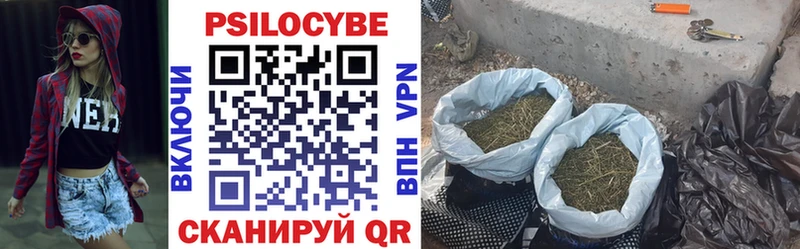 Галлюциногенные грибы Cubensis Вязьма
