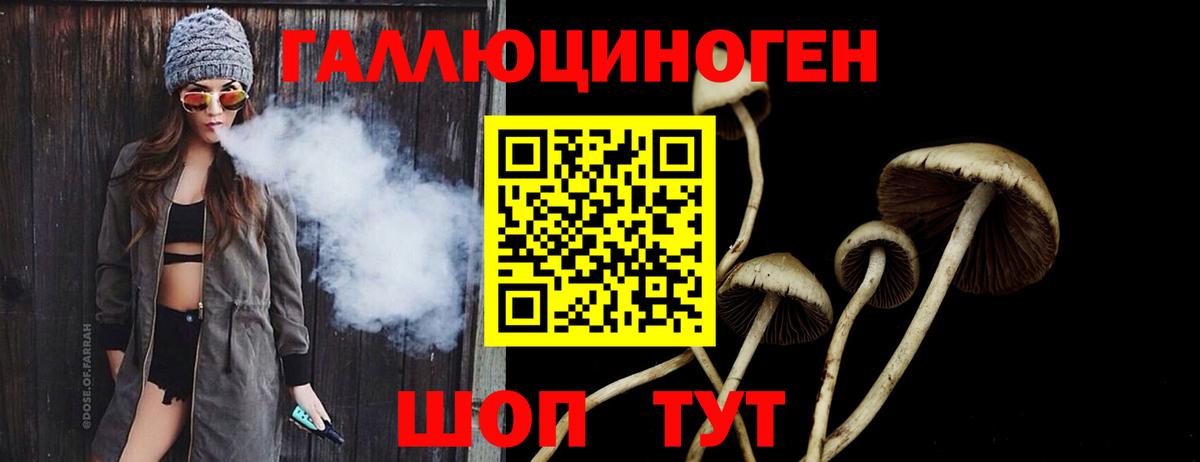 купить наркотики цена  Вход с VPN  Вязьма  Псилоцибиновые грибы мицелий 
