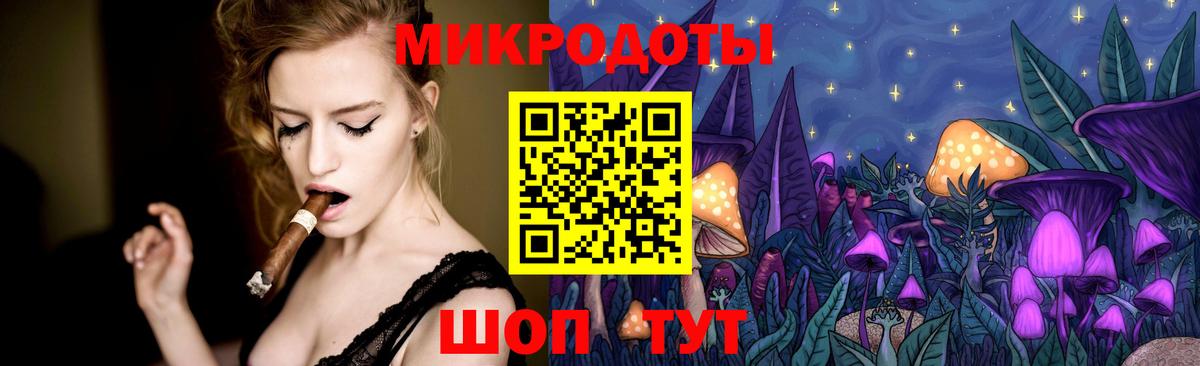 Псилоцибиновые грибы Cubensis Вязьма