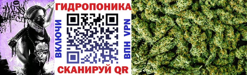 гидра зеркало  Вязьма  Бошки марихуана VHQ  что такое  